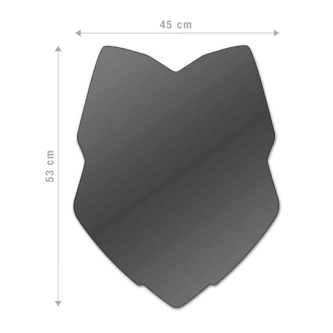 Barracuda Aerosport sportski vizir – ekskluzivni BARRACUDA dizajn