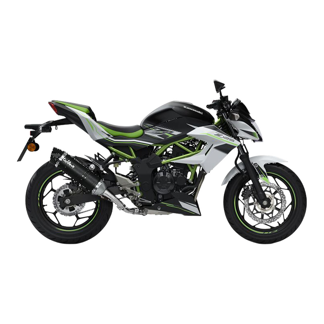 LeoVince LV One Evo Carbon Slip-On ispušni sustav 14294E