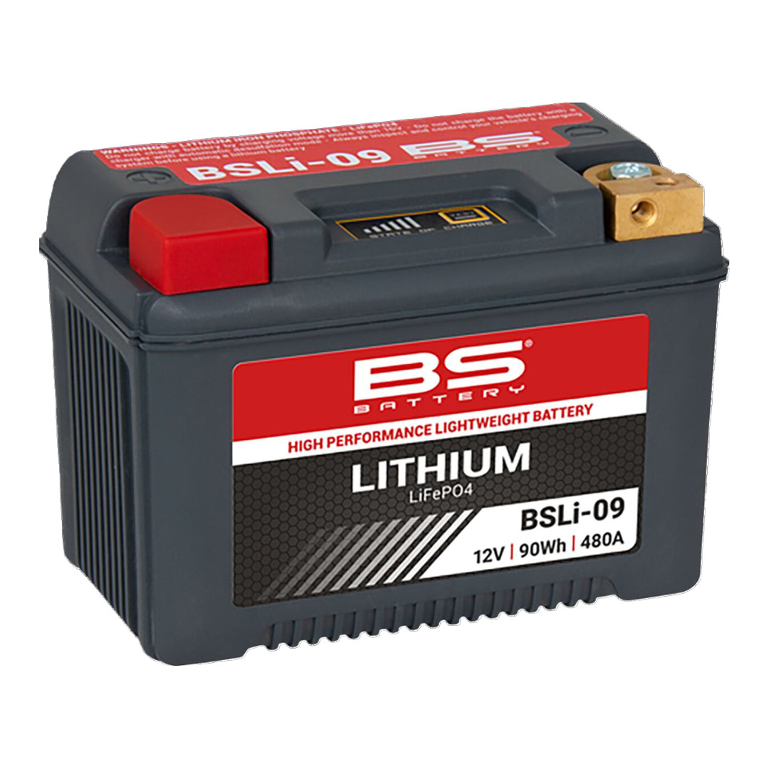 BS Battery BSLi-09 LiFePO4 litijski akumulator