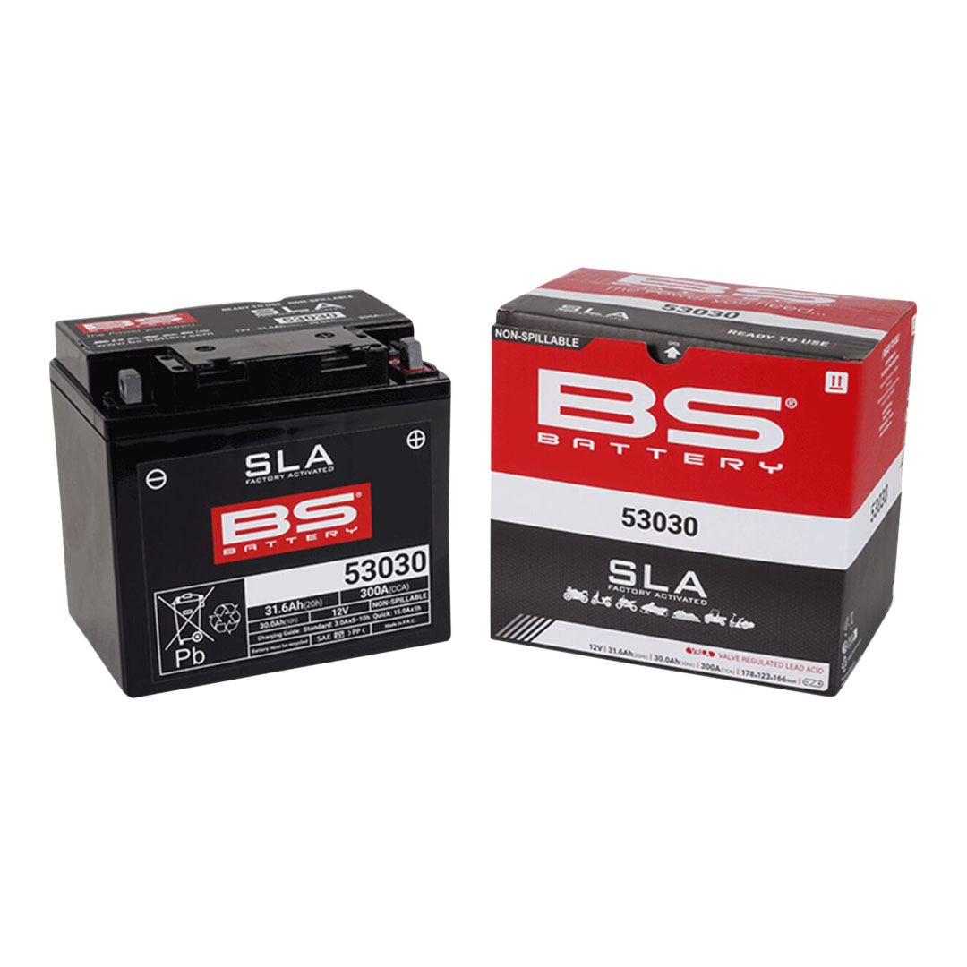 BS Battery 53030 SLA AGM akumulator 12 V 31,6 Ah