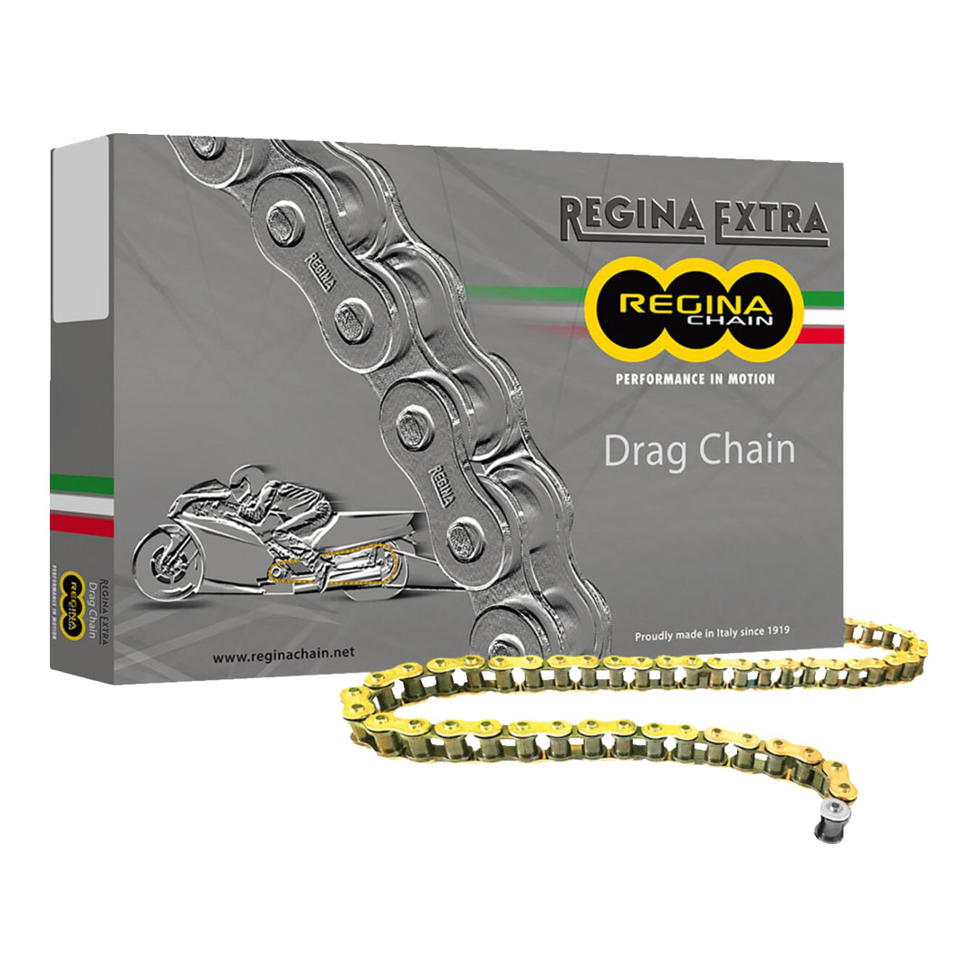Regina 520 DR pogonska veriga 160 členov